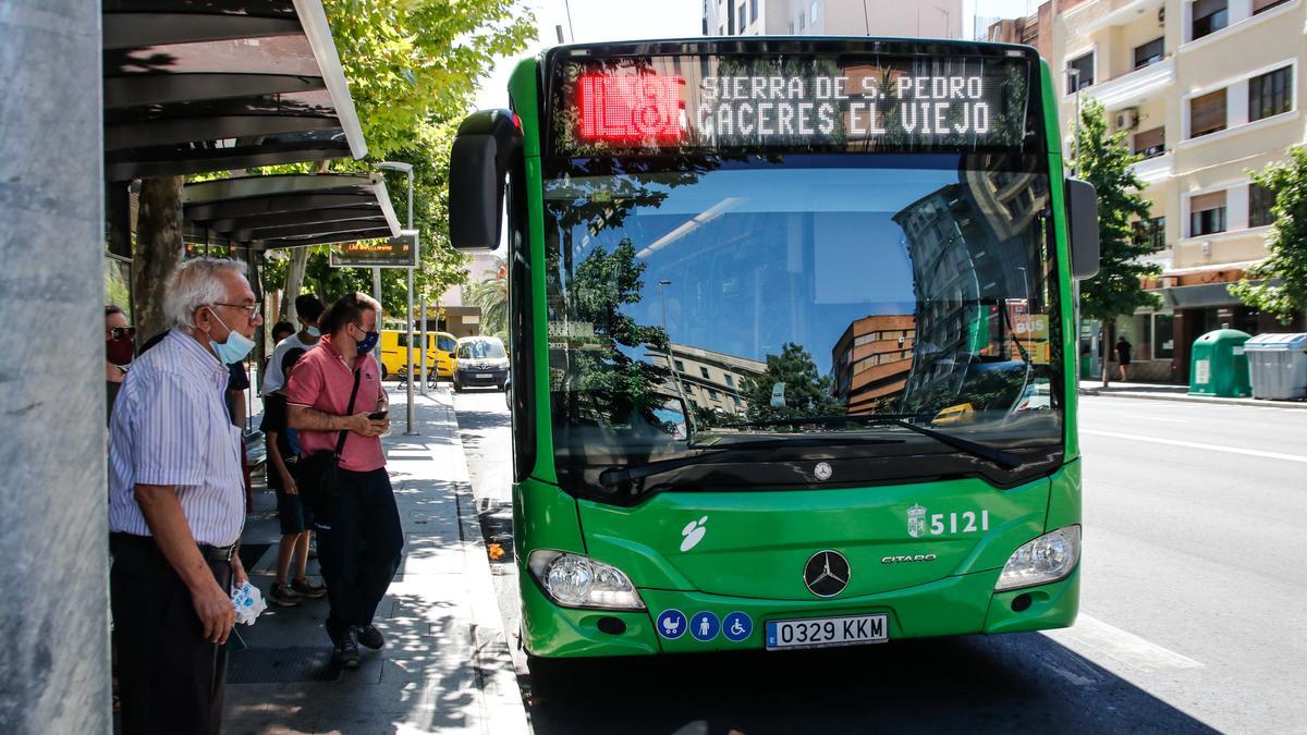 Un autobús de la línea 8 en una parada de la avenida Clara Campoamor.