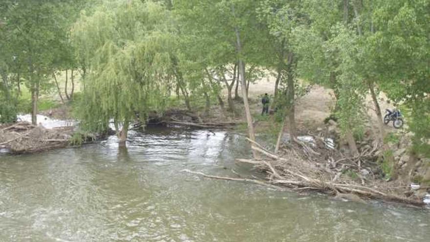 Troncos y maleza acumulada en la riberas del río Duero a su paso por el municipio de Toro.