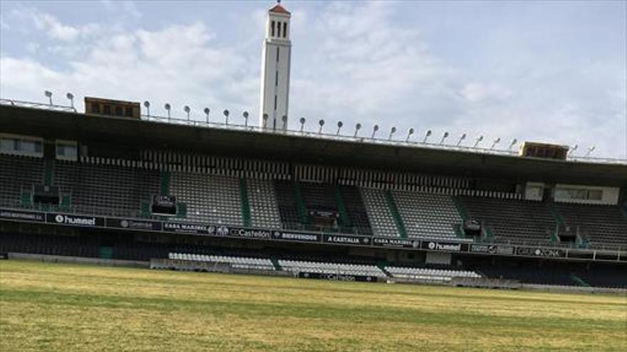 La paletilla y la camiseta del 10k y 5k Orgull Albinegre ya lucen en Castalia