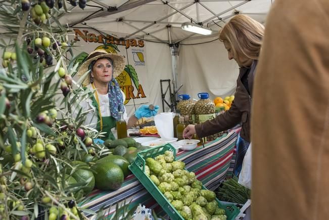 Feria de la Naranja en Telde