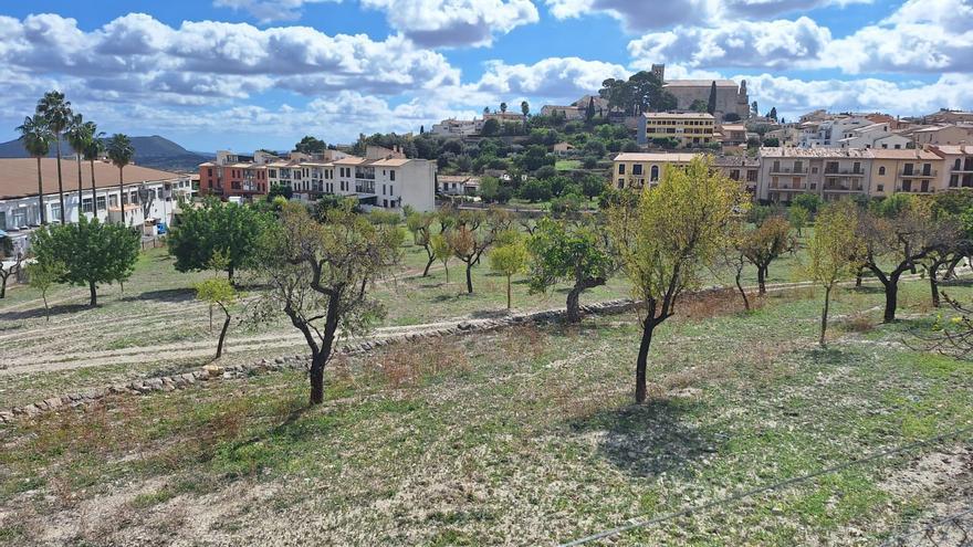 Un informe concluye que el solar de la futura escuela de Selva es &quot;no inundable&quot;