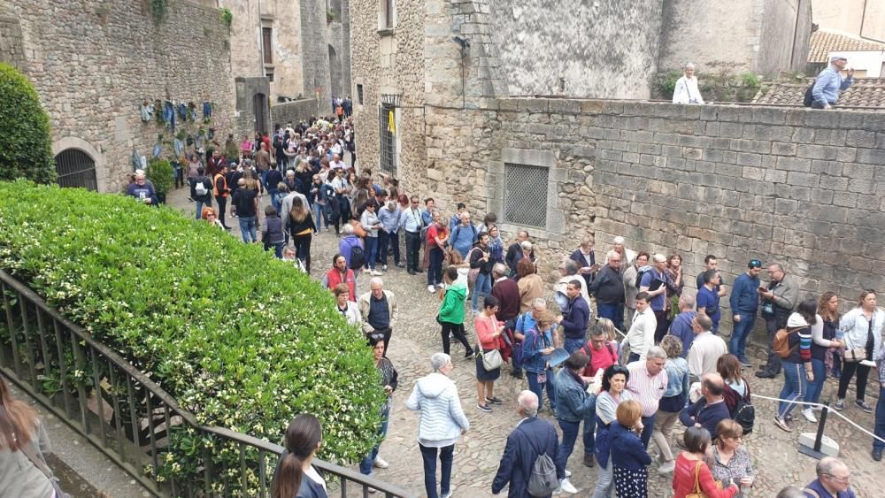 Girona, Temps de Flors 2019