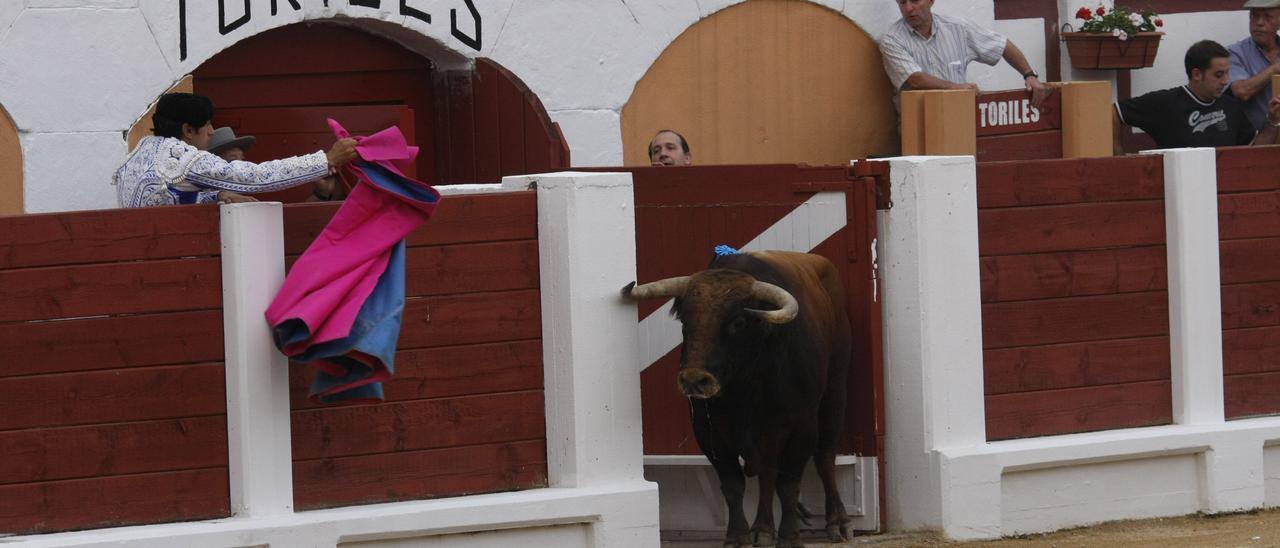 Un toro saliendo por toriles en El Bibio, en una imagen de archivo.