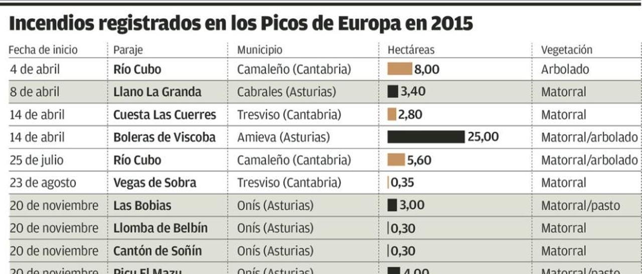 Los 16 incendios registrados en 2015 arrasaron 108,75 hectáreas