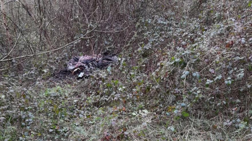 Levantan los huesos de mujer hallados en un monte de Lalín