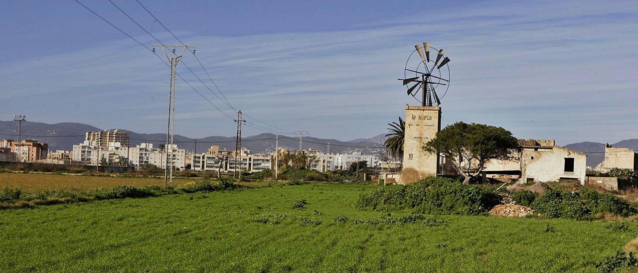 Los terrenos de Son Bordoy son parte de la Reserva Estratégica de Suelo y están situados en un área rural de Palma. | LORENZO