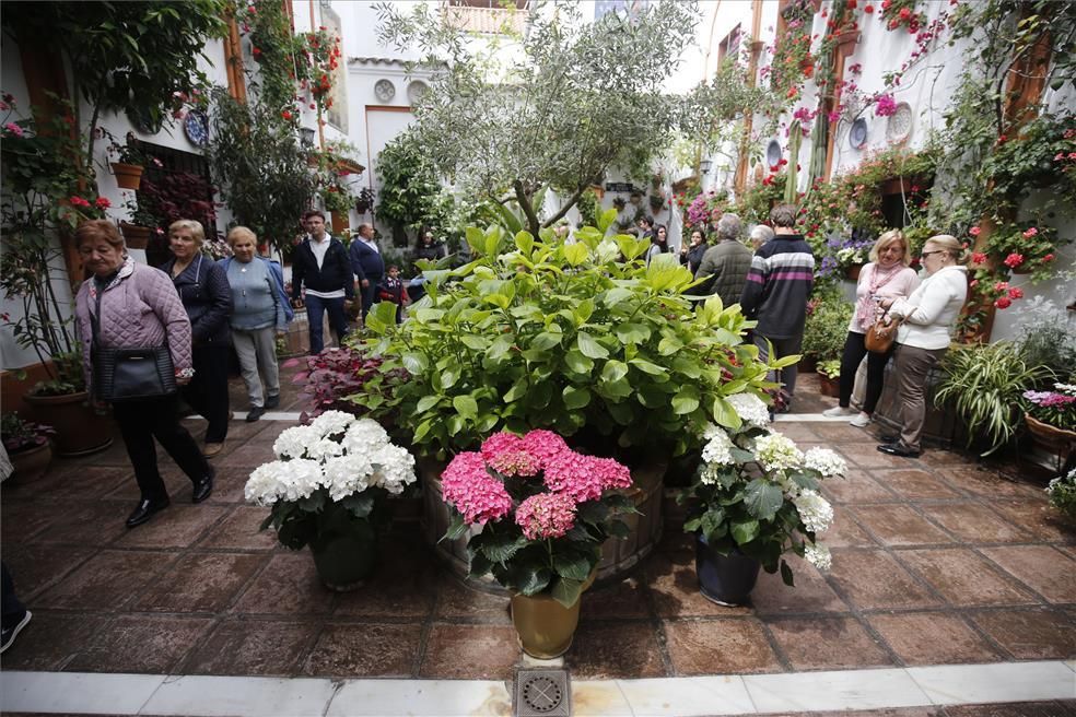 Mención de Honor y primeros premios del Concurso Municipal de Patios 2018