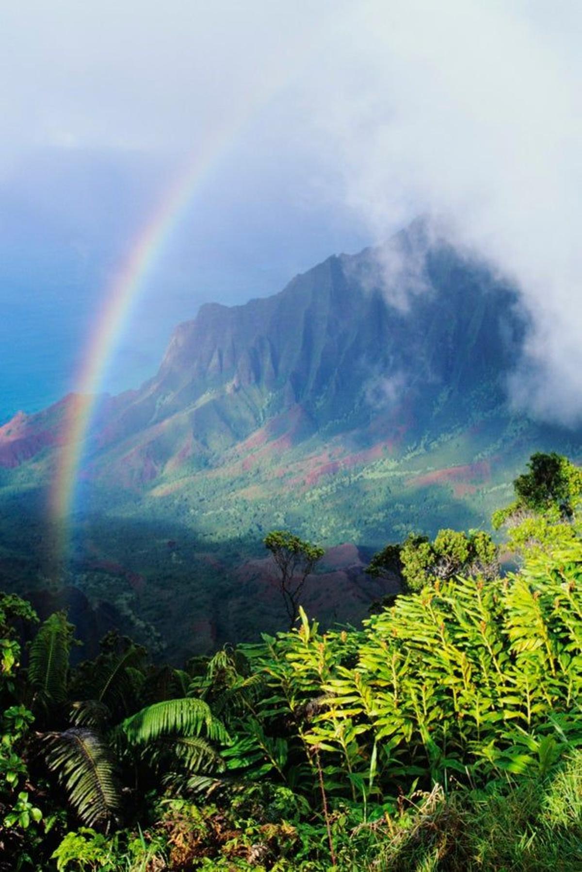 Mirador del Kalalau, en Kauai, Hawai.
