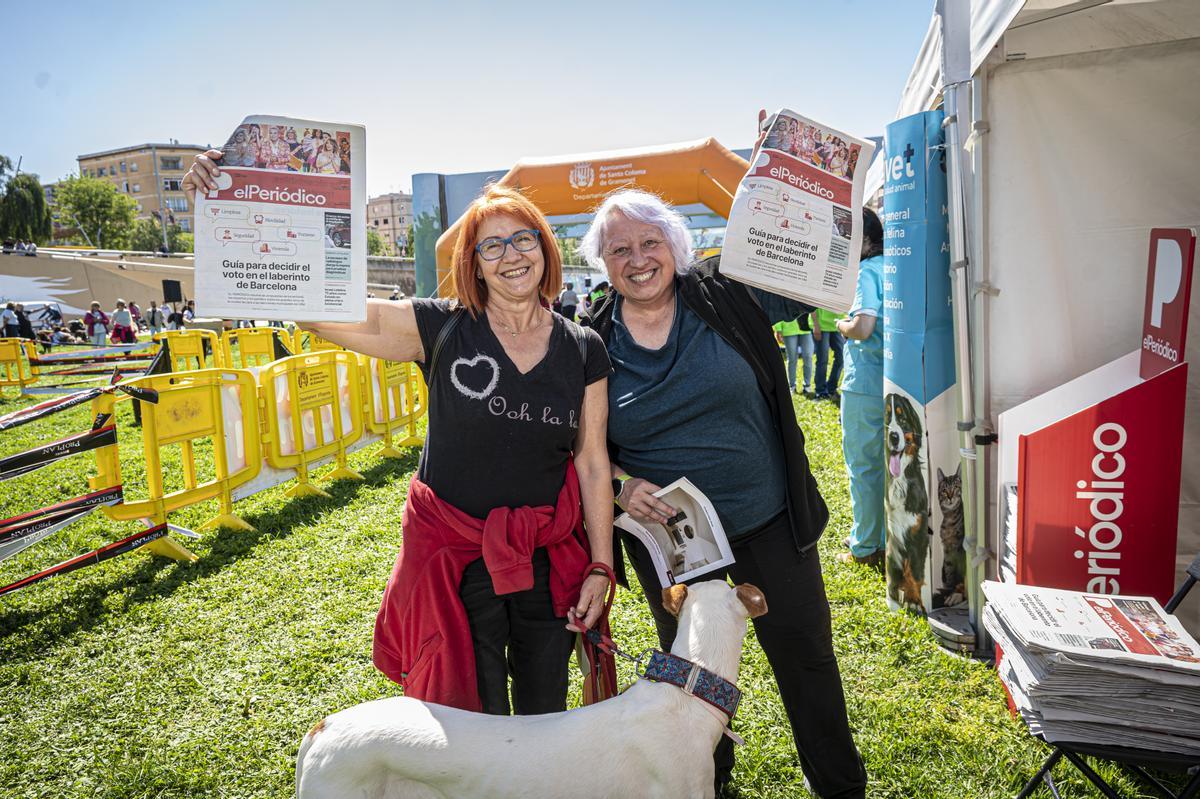 CAN WE RUN BARCELONA. La carrera organizada por Prensa Ibérica y El Periódico de Catalunya con la colaboración de Sport ,  donde las personas y sus mascotas perrunas corren en familia