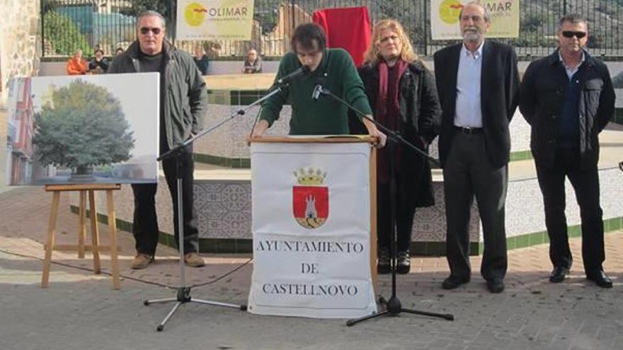 Castellnovo planta un olmo en su plaza más emblemática