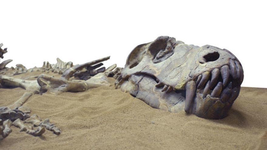 Los dinosaurios nunca se extinguieron, viven entre nosotros Los dinosaurios nunca se extinguieron, viven entre nosotros