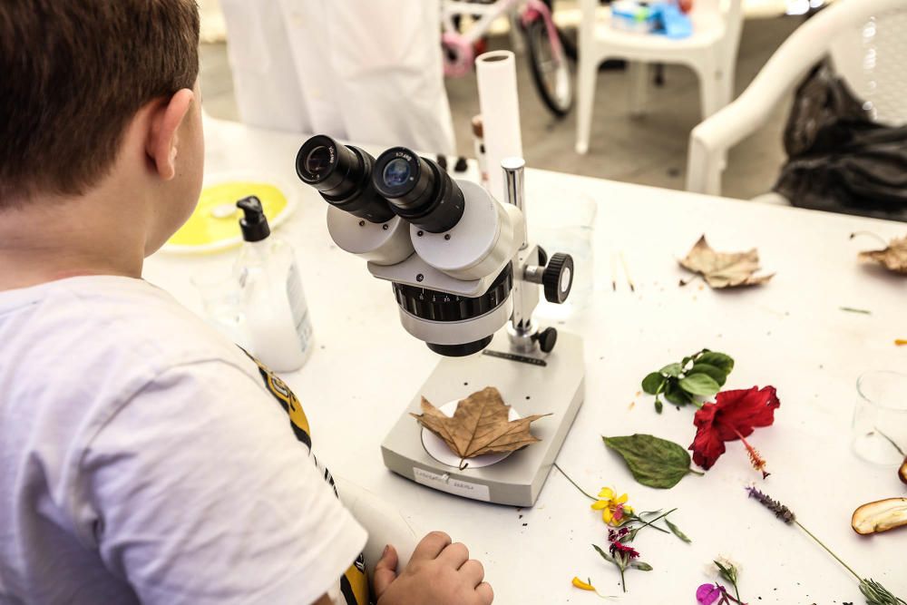 "Un paseo por la ciencia" en Torrevieja