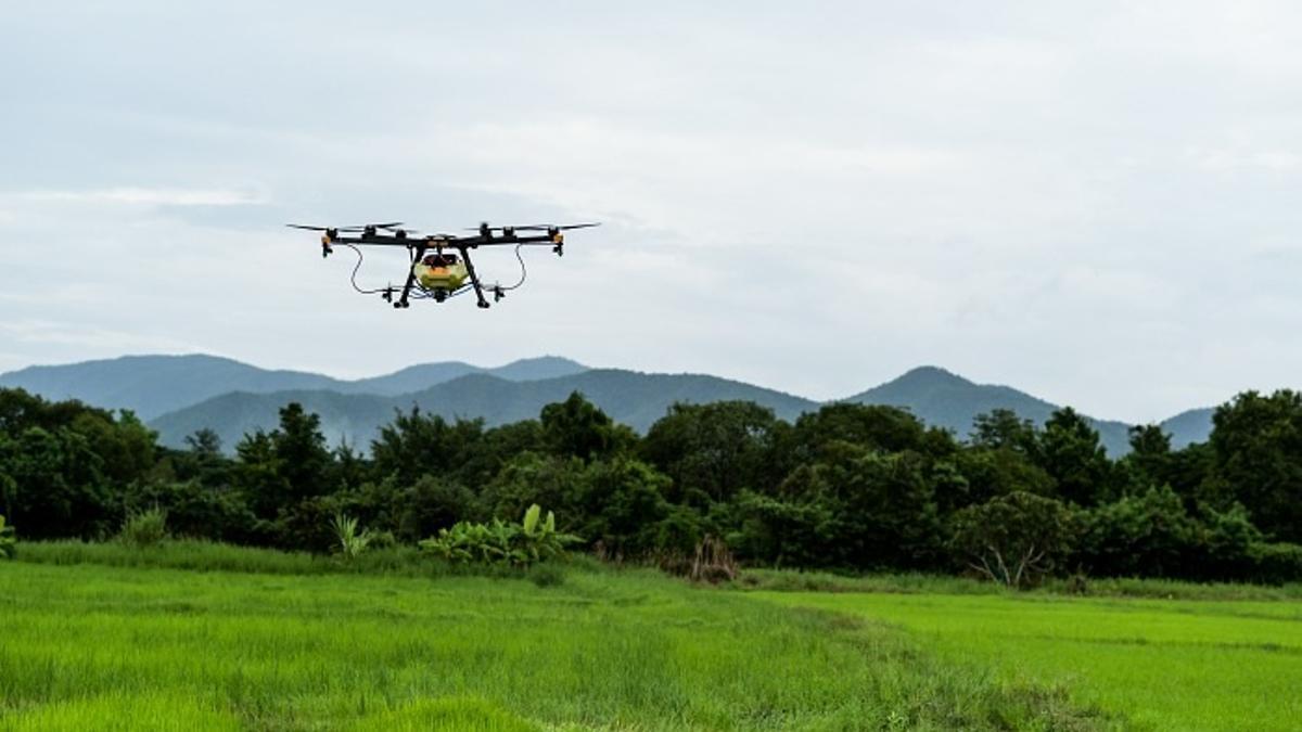 Un dron para pulverizar fertilizante en el campo
