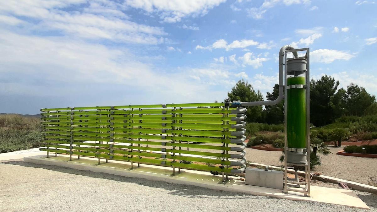 El fotobiorreactor de Ibiza Botánico Biotecnológico.