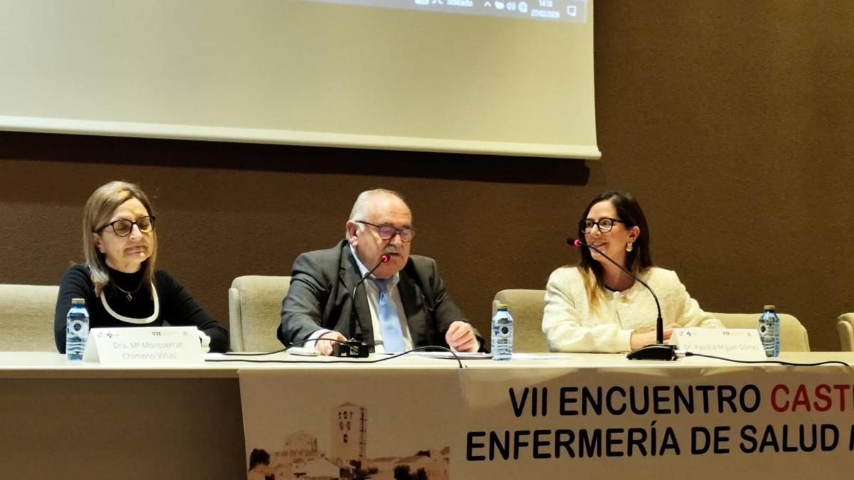 De izquierda a derecha, la gerente de asistencia sanitaria de Zamora, Montse Chimeno; el presidente de la Asociación Española de Enfermería de Salud Mental, Francisco Megías; y la presidenta del Colegio de Enfermería de Zamora, Patricia Miguel, en la clausura del VII Encuentro de Enfermería de Salud Mental de Castilla y León.