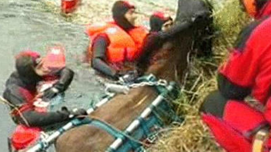 Un helicóptero rescata a un caballo de un  río