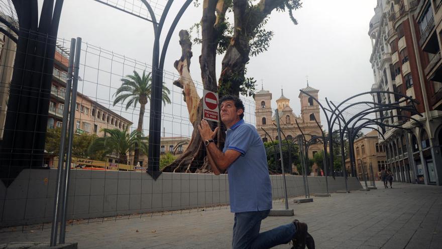Paco López Mengual: «El Ficus es nuestro King Kong»