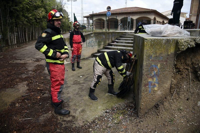 Impresionantes imágenes de la crecida del rio en Gelsa, Pinta y Quinto de Ebro