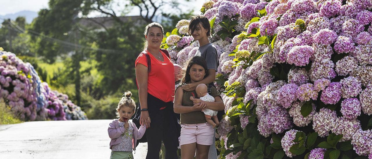 La lluvia bendice la aldea de las hortensias - La Nueva España