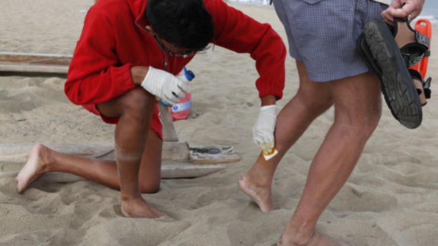 Un miembro de Cruz Roja atiende a un bañista con una picadura de aguaviva, ayer. i SERGIO PÉREZ
