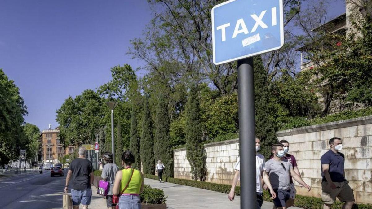 Una parada céntrica de Palma sin taxis, algo habitual el pasado verano y que puede repetirse éste.