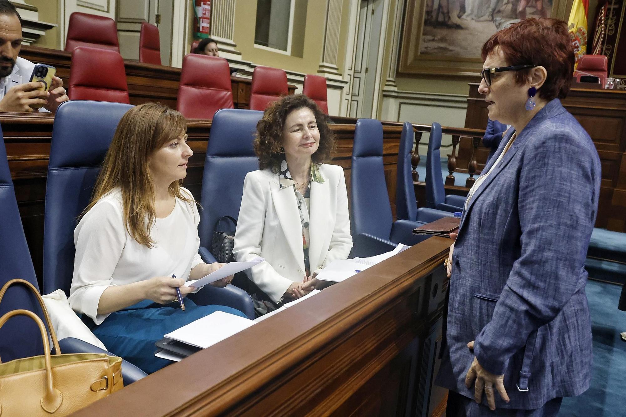 Pleno del Parlamento (08/04)