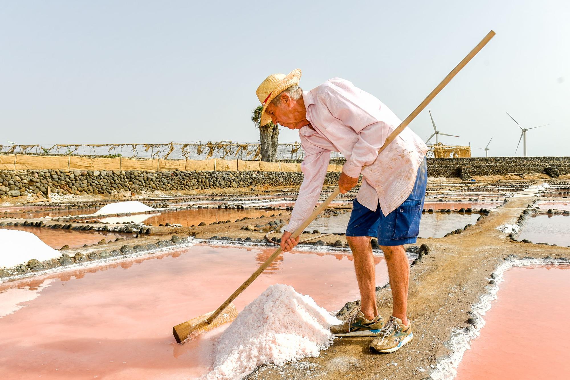 Salinas de Vargas