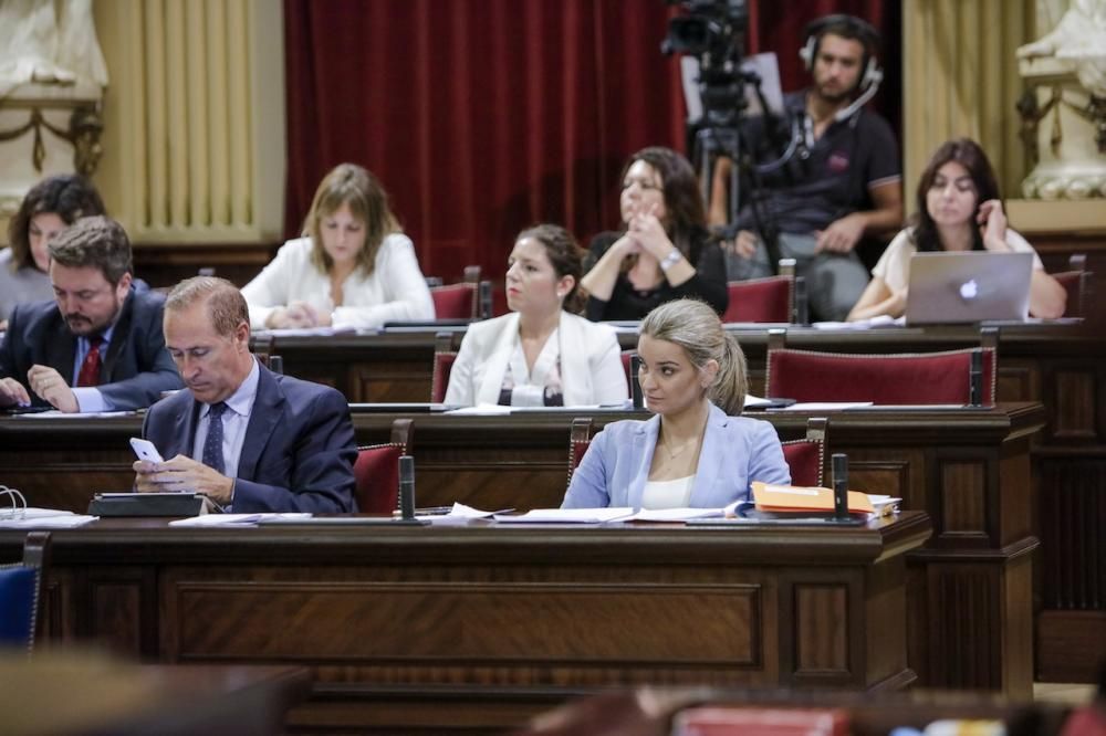 Pleno del Parlament