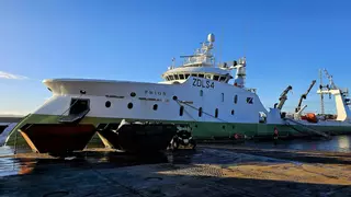 Malvinas apunta a sumar días de pesca tras un alza de las capturas de calamar