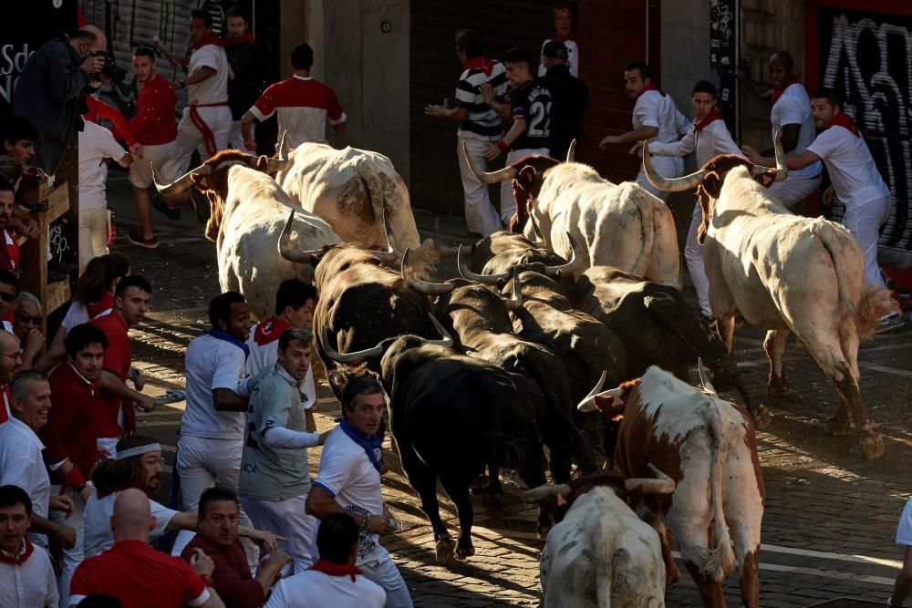 Los toros de Jandilla protagonizan el cuarto ...