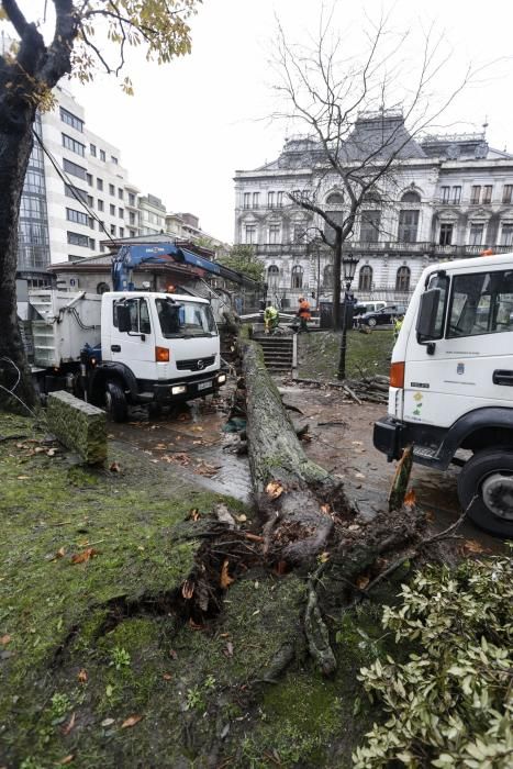 Destrozos en El Escorialín