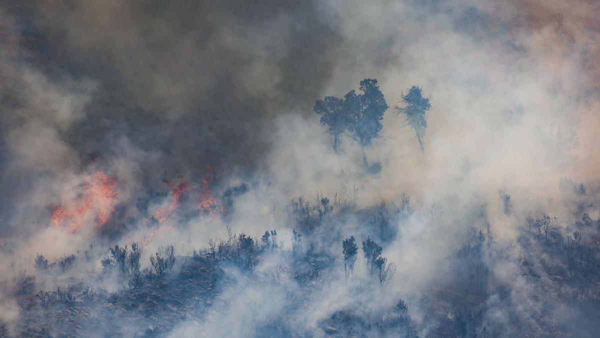 Humo y llamas en el incendio forestal que va desde Alcublas hasta El Toro