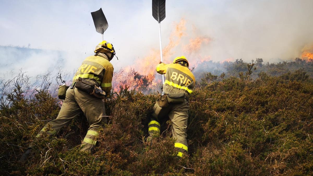 Dos bomberos forestales de la Brif de Tineo en la incendio de Lavadoria.