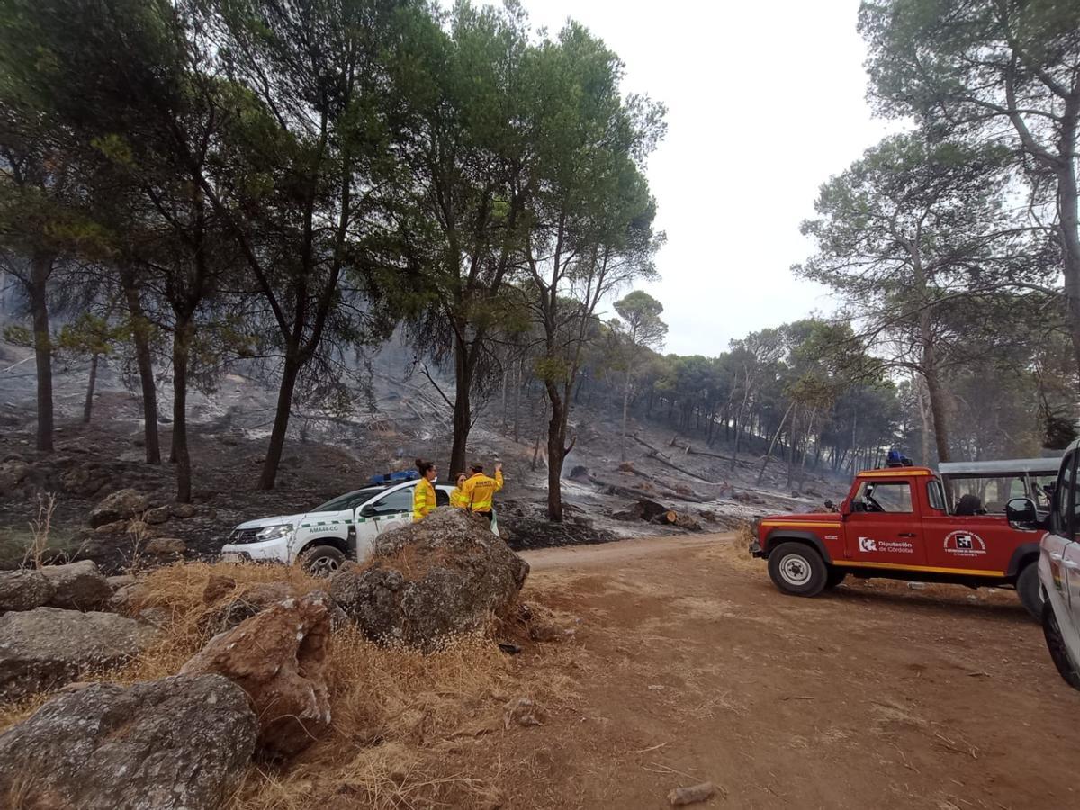 El Infoca combate un grave incendio forestal en Rute El Infoca combate un grave incendio forestal en Rute
