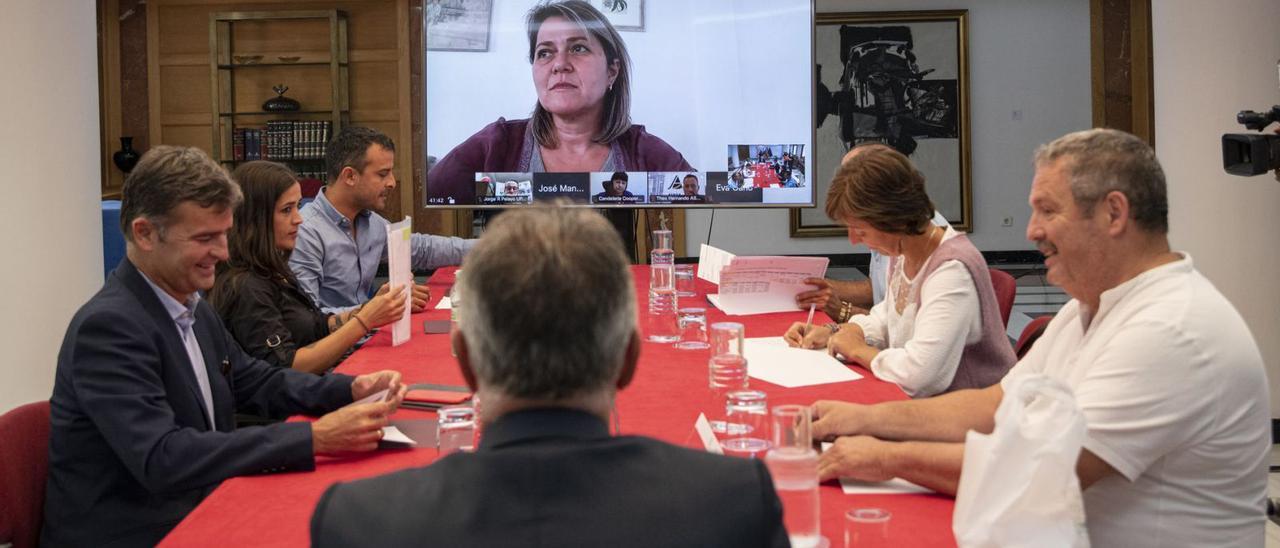 Reunión del miércoles del presidente Torres con los representantes de los ganaderos,  Alicia Vanoostende por videoconferencia.