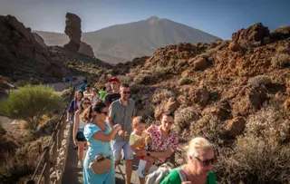 Se buscan agentes de medio ambiente para vigilar el Teide