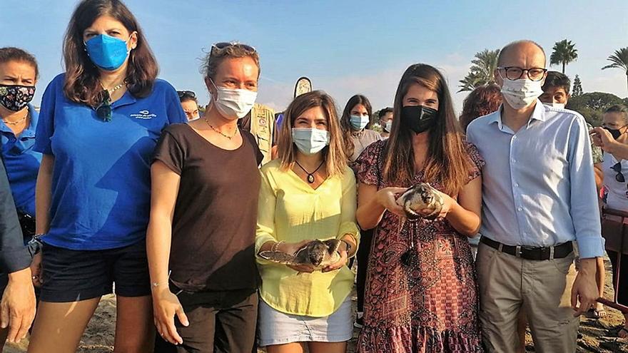 El delegado de Desarrollo Sostenible la Junta y voluntarios de ProDunas sueltan las tortugas en el mar