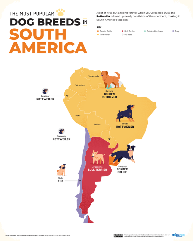 perros populares, sudamérica