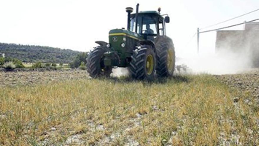 La CE propone recortar un 13% las ayudas a los agricultores