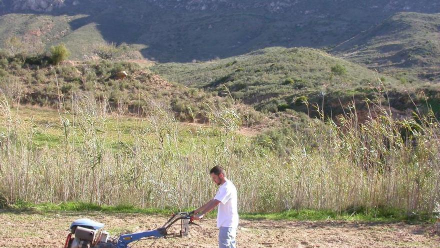 Un joven trabaja en una explotación agrícola.