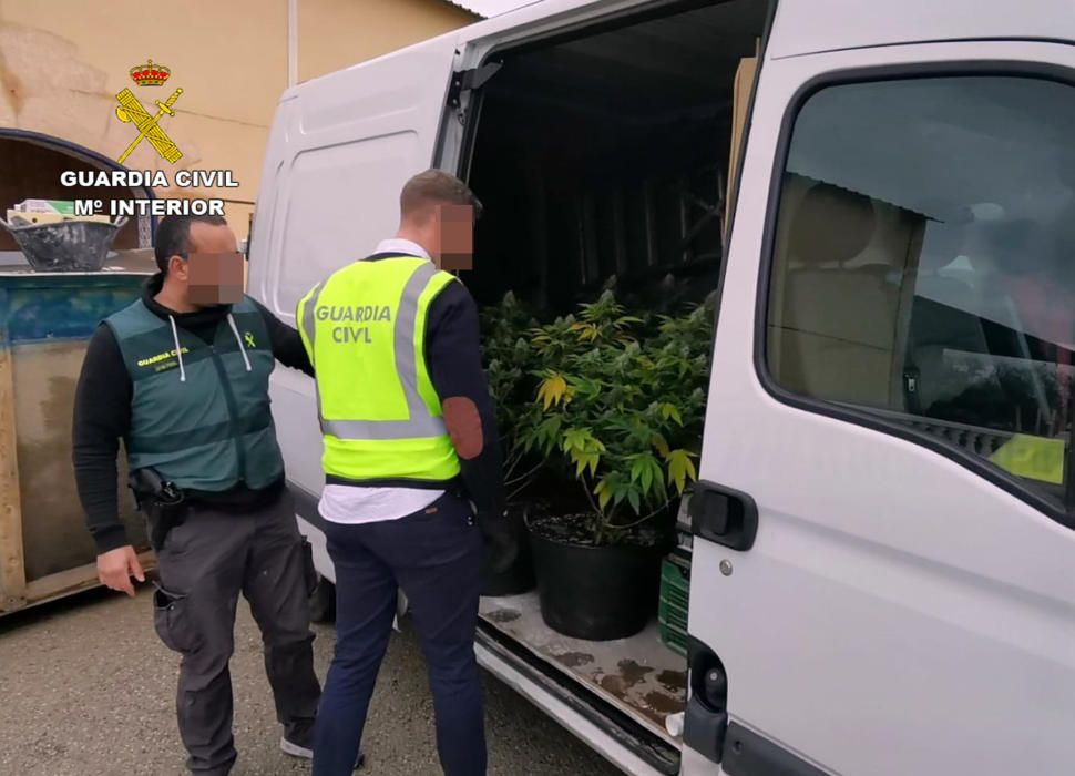 Desarticulada una banda que cultivaba y vendía marihuana a gran escala en Murcia