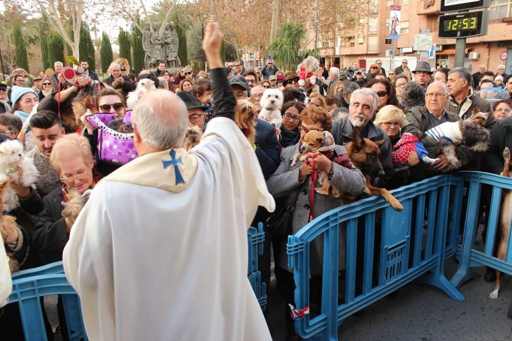 Bendición de San Antón en Murcia