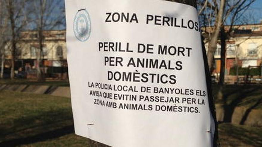 Banyoles no denunciarà els enverinaments de gossos fins que la investigació hagi conclòs
