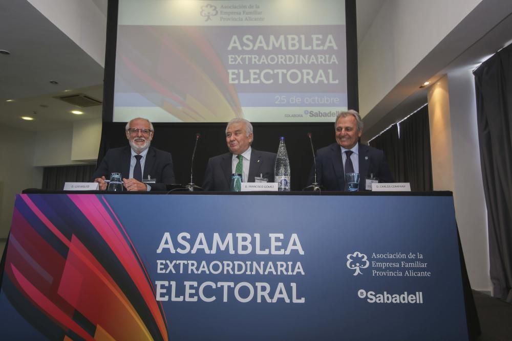 Relevo en la presidencia de AEFA