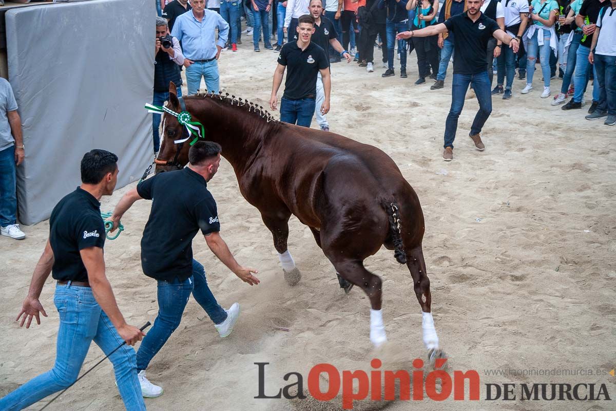 Entrada de Caballos al Hoyo en el día 1 de mayo