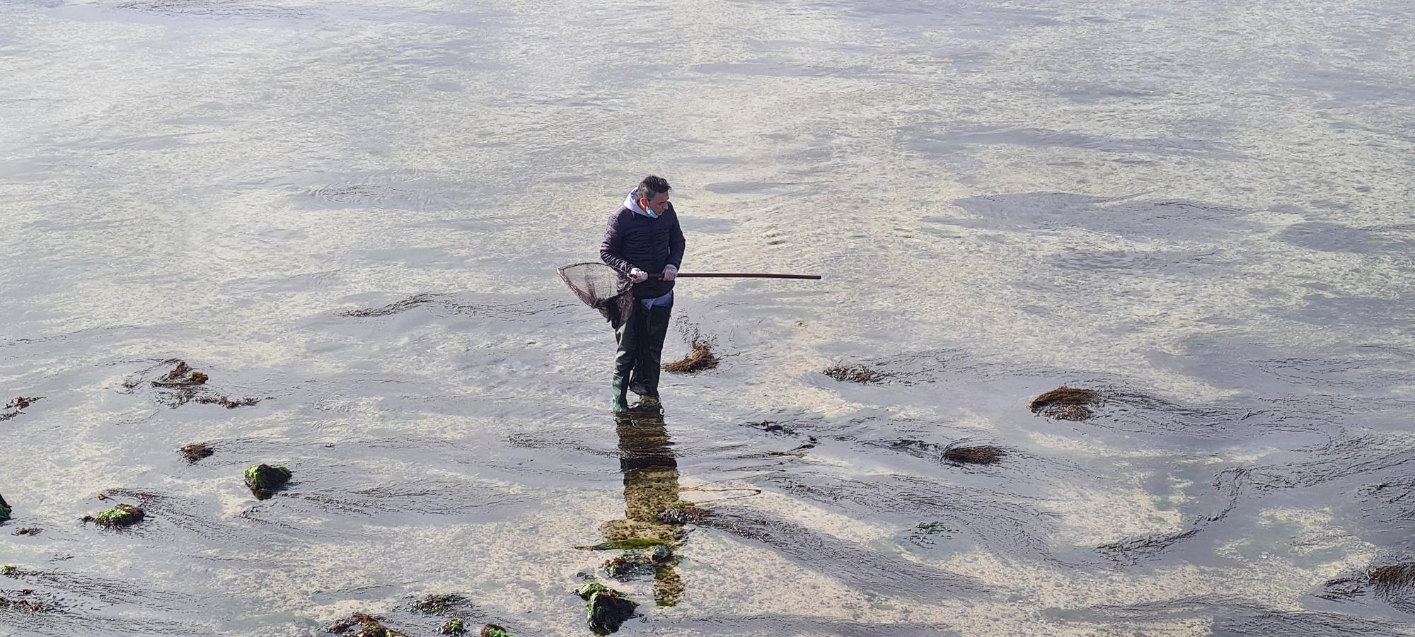 La pesca artesanal del chopo subsiste bajo el puente de A Toxa