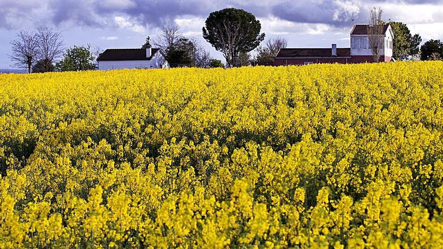 Castilla y León incrementa las ayudas a la formación agraria