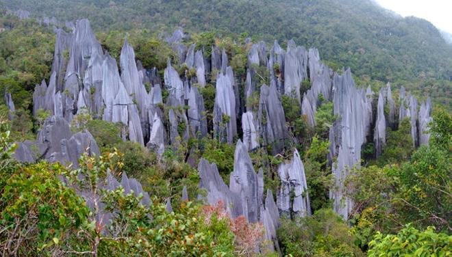 Parque Nacional de Mulu