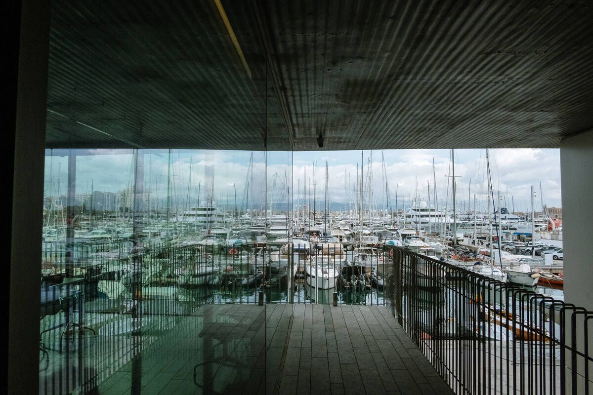 251010DMA_Bernardo A (225269435).jpg