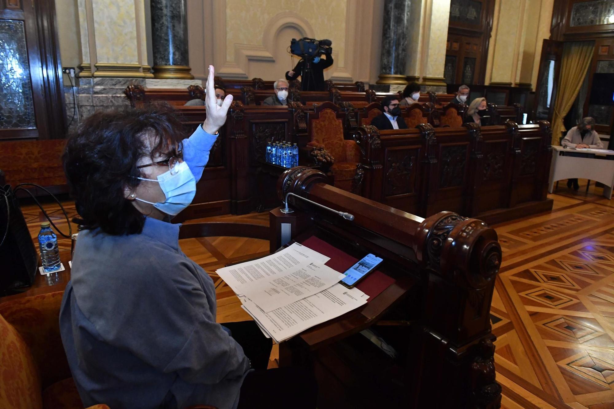 El Pleno aprueba el convenio de la ampliación del hospital con los votos a favor de PSOE y PP